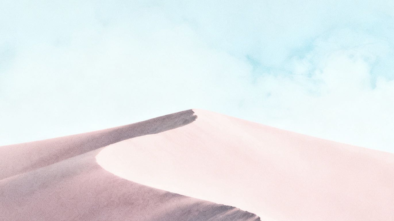 The Power of Gratitude: Why Appreciation Accelerates Manifestation